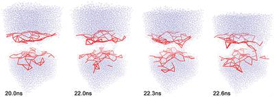 Computing Spatiotemporal Heat Maps of Lipid Electropore Formation: A Statistical Approach